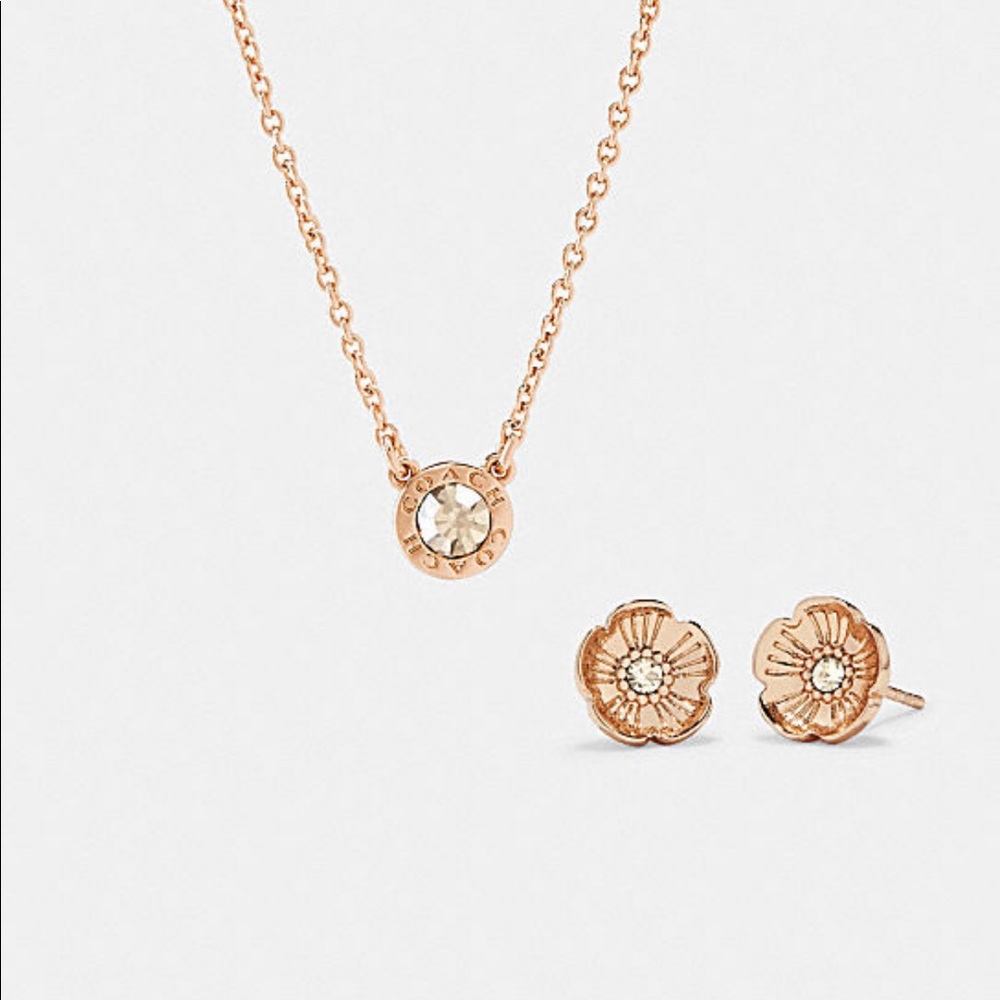 NWT Coach Circle Necklace Rose Stud Earrings Set